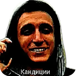 Video sticker 🤩 литвин @TgEmodziBot