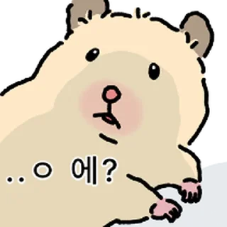 Telegram stiker ⭐ 햄스터 확대 4 @moe_sticker_bot
