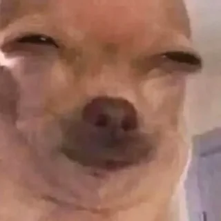 Sticker 🕸️ @lSSS1