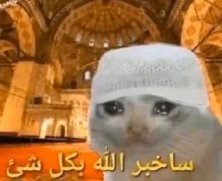 Telegram stiker 🕸️ @lSSS1