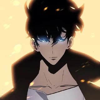 Video sticker 🔲 Sung Jin Woo @stickerowo