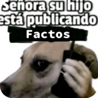 Телеграм стикер 🐶 🆒