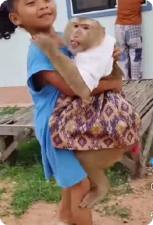 Video sticker 🌟 အများပြောတဲ့၀ူခုံး ဖာသည်မမသုံးရ:: @fStikBot