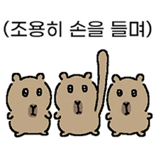 Video sticker ⭐ 대본바라 @moe_sticker_bot