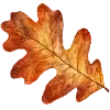 Sticker 🍂 cozy autumn by @design_prrrole