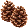 Sticker 🍁 cozy autumn by @design_prrrole