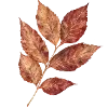 Sticker 🍂 cozy autumn by @design_prrrole
