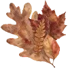 Sticker 🍂 cozy autumn by @design_prrrole