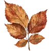 Sticker 🍂 cozy autumn by @design_prrrole