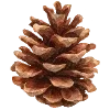 Sticker 🍁 cozy autumn by @design_prrrole