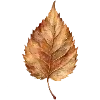 Sticker 🍂 cozy autumn by @design_prrrole
