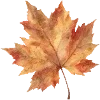 Sticker 🍂 cozy autumn by @design_prrrole
