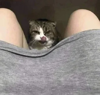 Video sticker 😈 @itzyournil69 f1