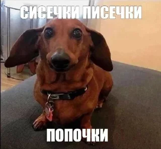 Telegram sticker 🌟 Все стикеры тг кликай и бери 👉 @stiki_tg_nah_canal