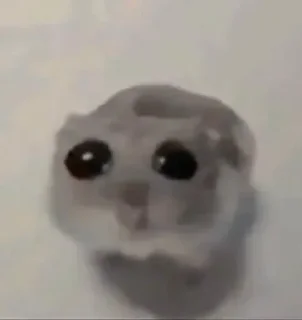 Video sticker 🐭 سلام دختری؟؟