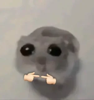 Video sticker 🐭 سلام دختری؟؟