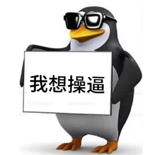 Video sticker 🐦 hehuxsha