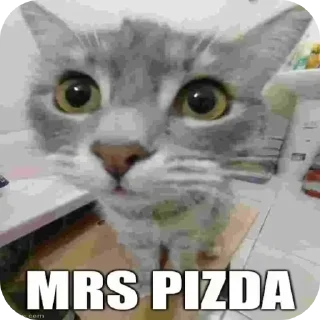 Sticker 🐈 хрю хрю