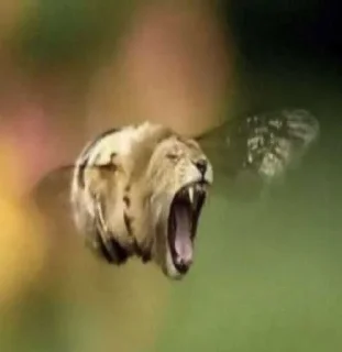 Telegram sticker 🙈 sybau💔 ➡️ @EmojiRuBot