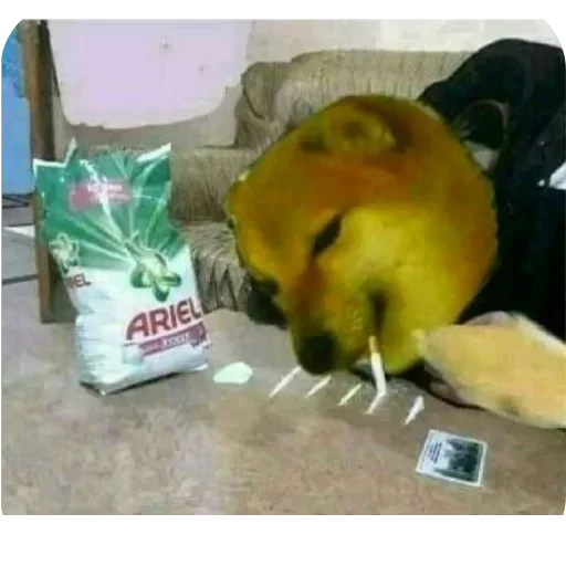 Telegram sticker 🐦 @TGR_07 :: @fStikBot