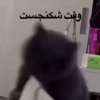 Video sticker 🐾 ❮̶͟͞҈҉͓͓҃҄ͯͯͯ͜͡͝͞🔞❯̶̵̽̽͟͞ ̶̸̷̽❰ @mr_351‌ ❱ ̶͟͞❮̶̲̅͟͞҉҈̸̷͓͓֠̽̽💧̶̲