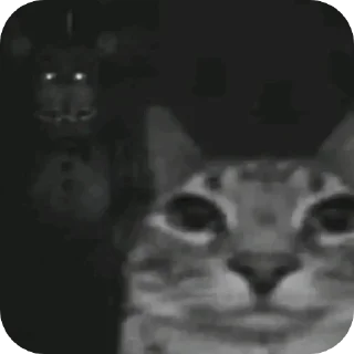 Telegram sticker 🥶 Сексолог Александр @Hassundliebee