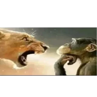 Telegram sticker 😐 Сексолог Александр @Hassundliebee