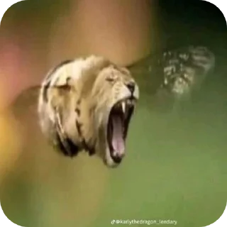 Telegram sticker 🐶 Сексолог Александр @Hassundliebee