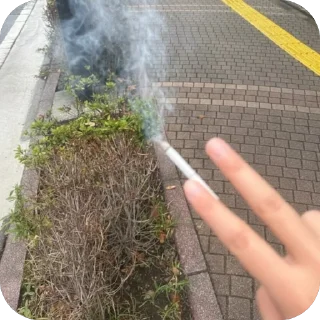 Telegram sticker 🚭 박바티콘