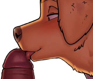 Video sticker 😛 Webadasfurras