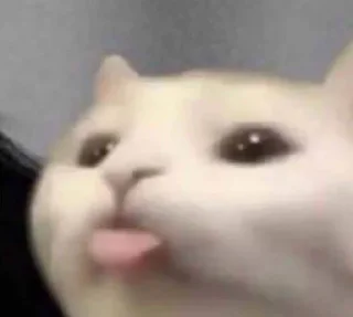 Video sticker 😛 aru