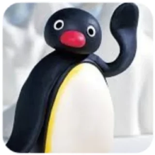 Video sticker 🐧 핑구콘