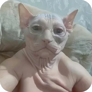 Telegram stiker 🫥 حزمة جوهر:: @fStikBot