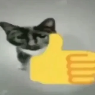 Telegram sticker 👍 Больше стиков тут: @stikery4