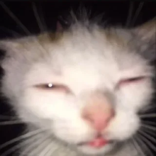 Telegram sticker 😕 Больше стиков тут: @stikery4