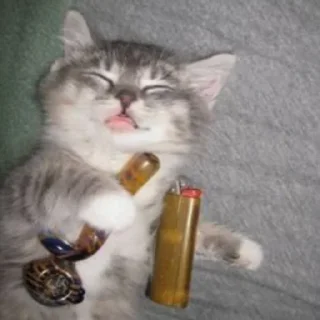 Telegram sticker 🚬 Больше стиков тут: @stikery4