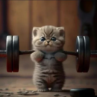 Telegram sticker 💪 Больше стиков тут: @stikery4