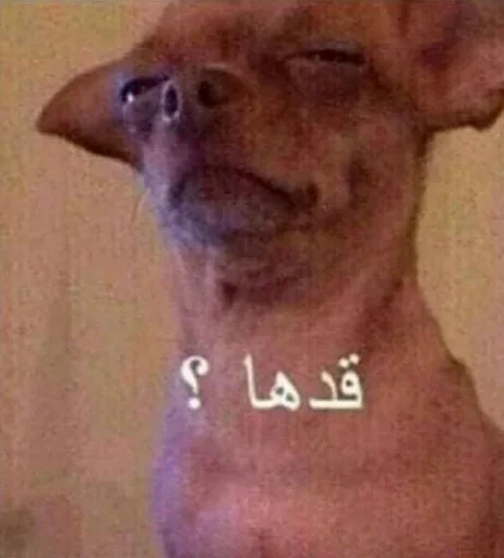 Telegram sticker 🤨 التحفة الغير مكتملة
