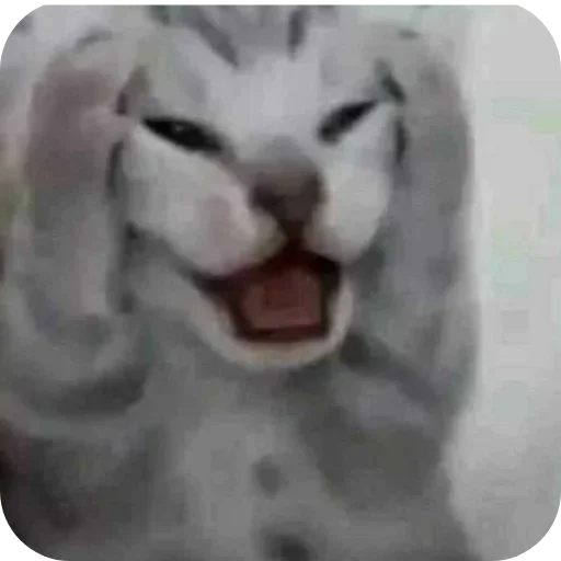 Telegram sticker 👄 التحفة الغير مكتملة