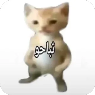 Video sticker 🫥 ام حوايج حقوق رغد @rla_6