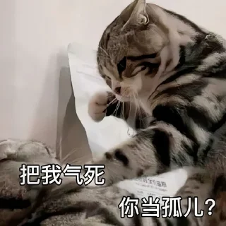 Telegram sticker 🤣 @xqsj777 小七上架贴纸包1