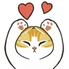 Video sticker 🤩 Создать э�...