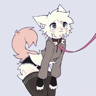 Video sticker 🌟 Фурьки @FurriStik <--больше фурри стикеров тут