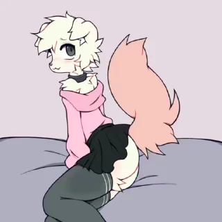 Video sticker 🌟 Фурьки @FurriStik <--больше фурри стикеров тут