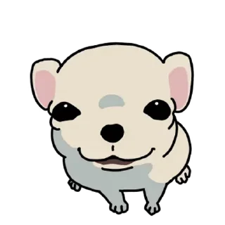 Video sticker ⭐ 시끄러운 치와와들 @manbull_sticker_bot