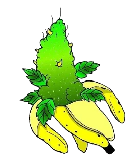 Sticker 🍌 бульчат