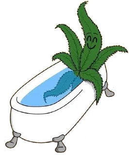 Video sticker 🤩 бульчат