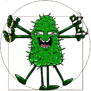 Video sticker 👽 бульчат
