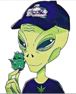 Telegram sticker 🍀 бульчат