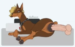 Video sticker 🐕 Animated Ferals @FurryFeral18 :: @fStikBot